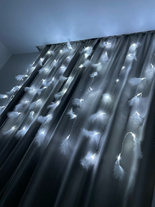 Фотография покупателя товара Гирлянда «Занавес» 3 × 1.4 м с насадками «Перья», IP20, прозрачная нить, 80 LED, свечение белое, 8 режимов, 220 В