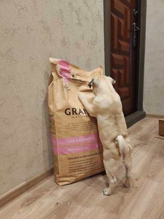 Фотография покупателя товара Сухой корм Grandorf для щенков, ягненок/индейка, низкозерновой, 10 кг - Фото 1