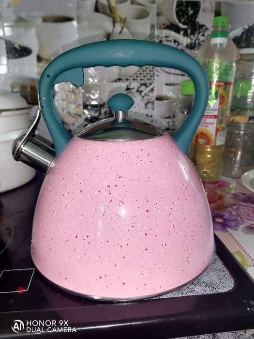 Фотография покупателя товара Чайник со свистком из нержавеющей стали Доляна «Космос», 3 л, синий - Фото 3