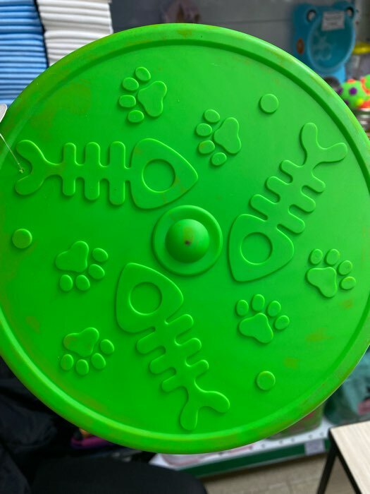 Фотография покупателя товара Фрисби "Летающая тарелка", не тонет, 20 см, зелёный - Фото 1