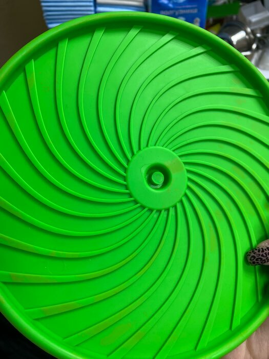 Фотография покупателя товара Фрисби "Летающая тарелка", не тонет, 20 см, зелёный - Фото 2