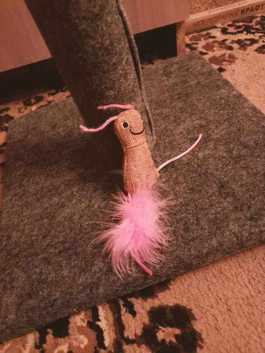 Фотография покупателя товара Мягкая игрушка для кошек с кошачьей мятой и пуховым хвостом "Гусеница", розовая - Фото 4