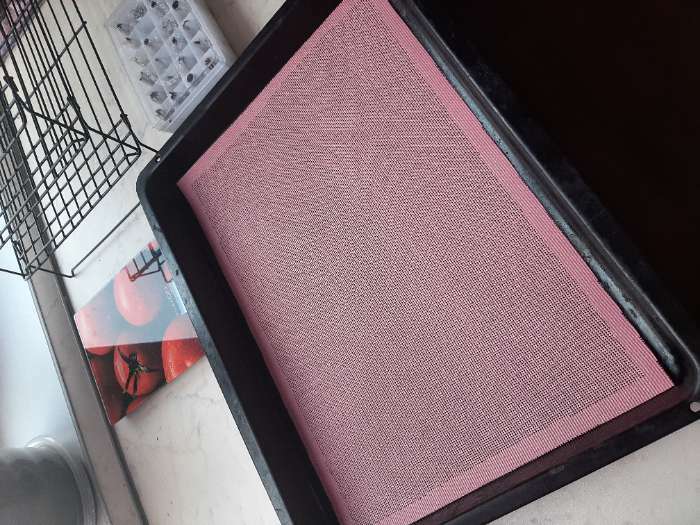 Фотография покупателя товара Армированный коврик Доляна «Амато», силикон, 42×29,6 см, цвет розовый