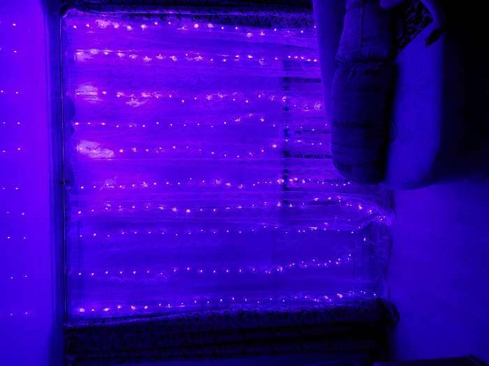 Фотография покупателя товара Гирлянда «Занавес» 2.8 × 3 м роса на крючках, с пультом, IP20, серебристая нить, 300 LED, свечение фиолетовое, 8 режимов, USB - Фото 11