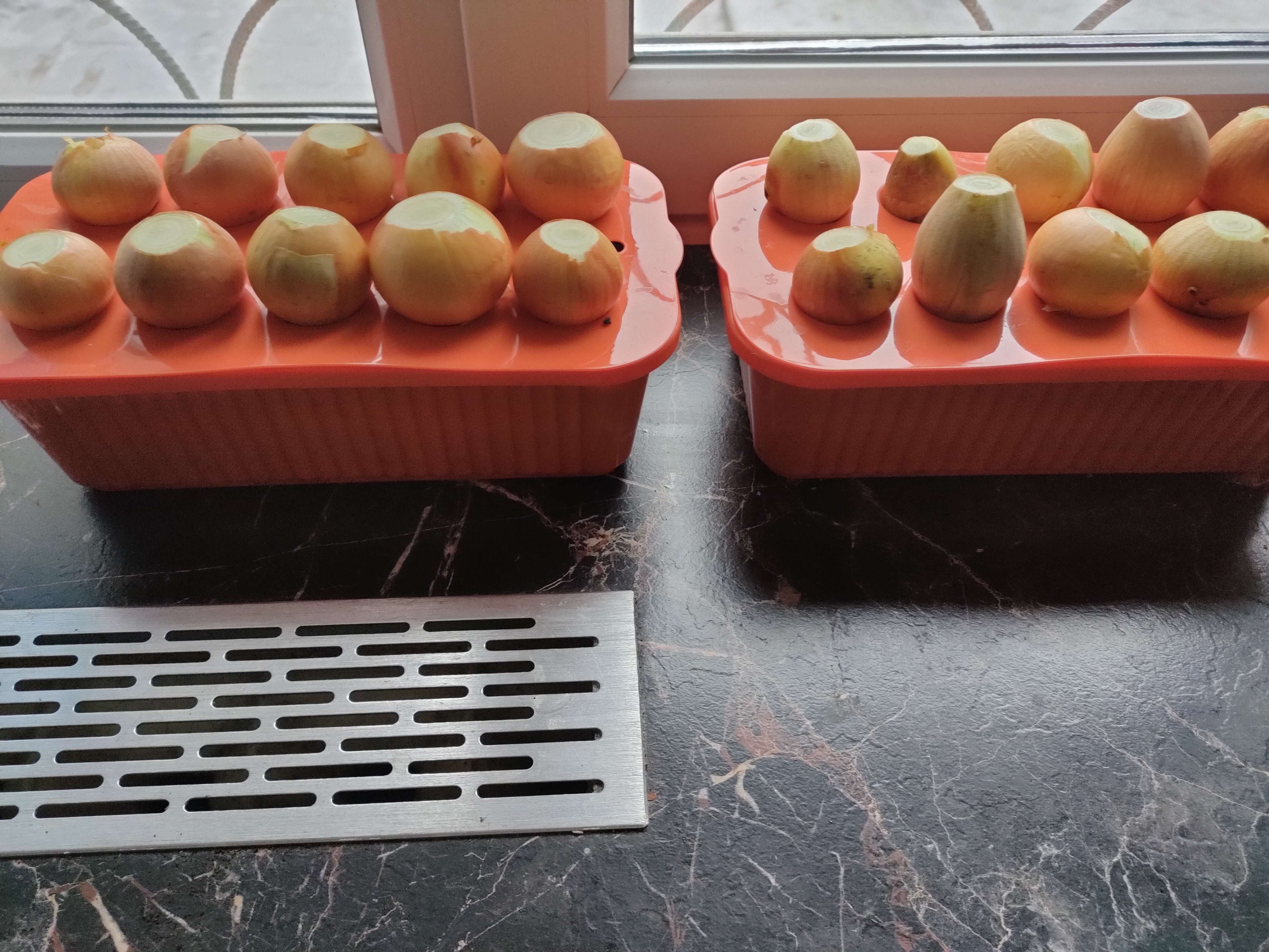 Фотография покупателя товара Ящик для выращивания зелёного лука, 29 × 16 × 8,5 см, 2,5 л, 10 лунок, оранжевый, Greengo