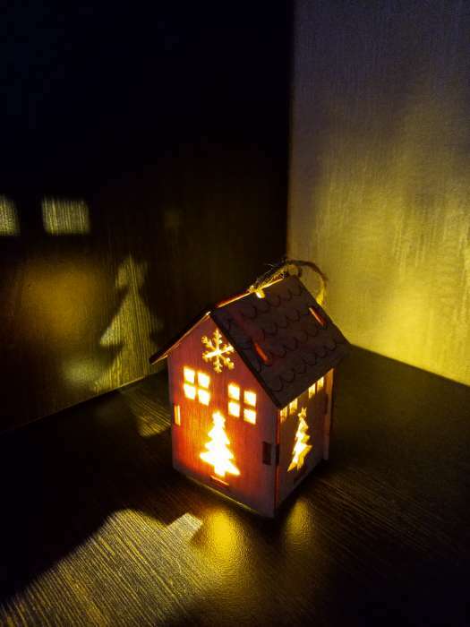 Фотография покупателя товара Ёлочная игрушка «Домик с ёлкой», от батареек, свечение тёплое белое - Фото 11