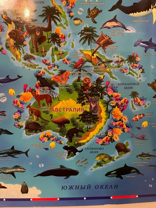 Фотография покупателя товара Карта Мира для детей "Животный и растительный мир Земли", 101 х 69 см, ламинированная, тубус - Фото 3