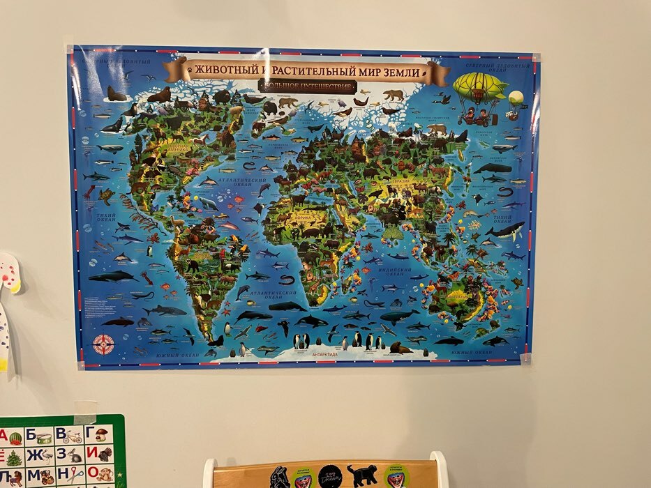 Фотография покупателя товара Карта Мира для детей "Животный и растительный мир Земли", 101 х 69 см, ламинированная, тубус - Фото 4