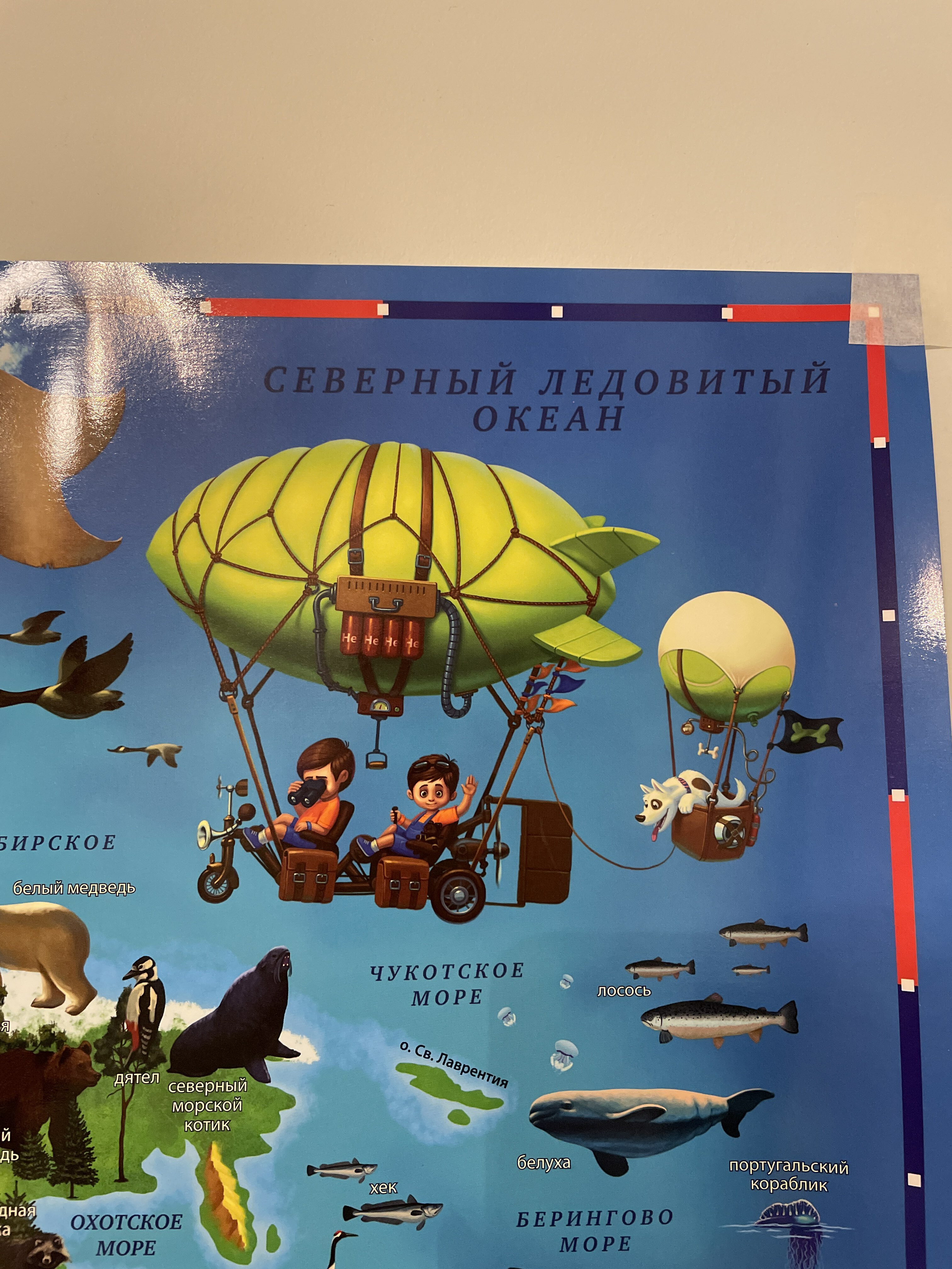 Фотография покупателя товара Карта Мира для детей "Животный и растительный мир Земли", 101 х 69 см, ламинированная, тубус