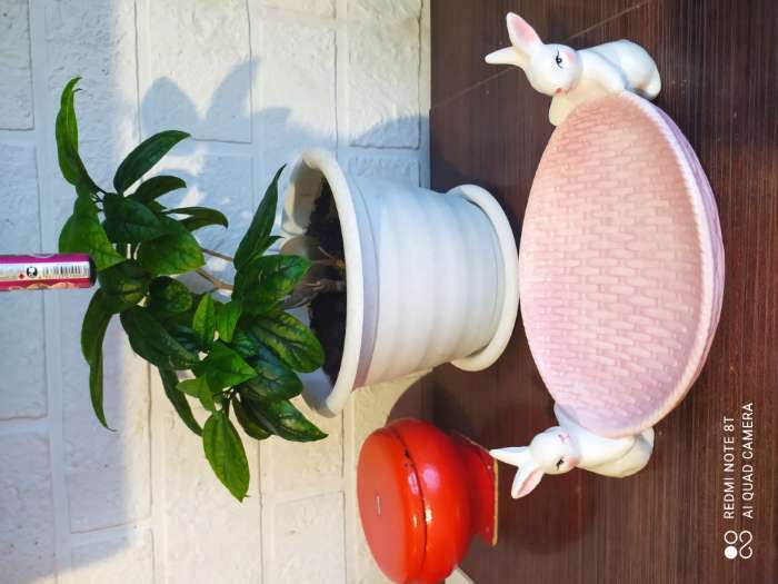 Фотография покупателя товара Блюдо сервировочное Доляна «Зайка», 30×16,5×10 см, цвет розовый