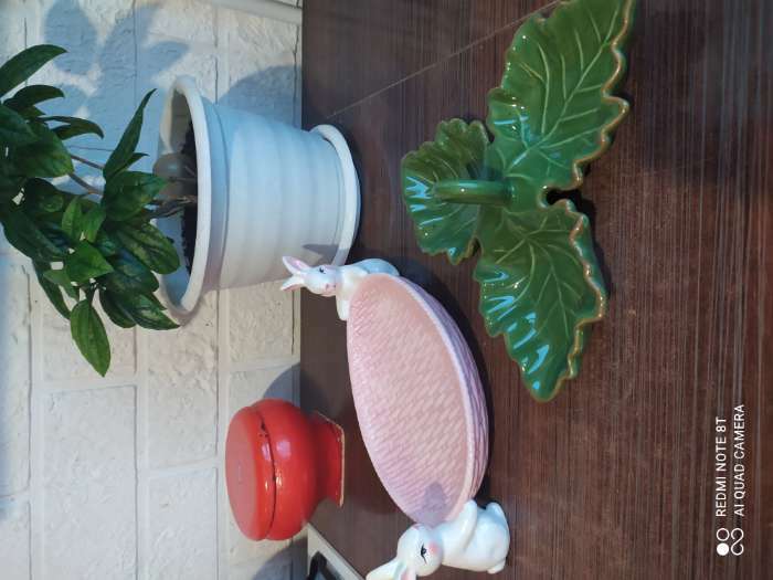 Фотография покупателя товара Блюдо сервировочное Доляна «Зайка», 30×16,5×10 см, цвет розовый - Фото 2