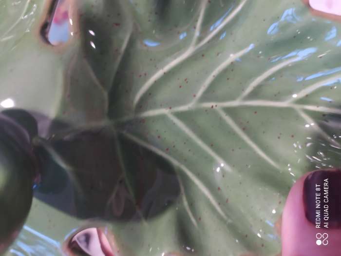 Фотография покупателя товара Менажница 3 ячейки Доляна «Лист», 22,1×7,6 см, цвет зелёный