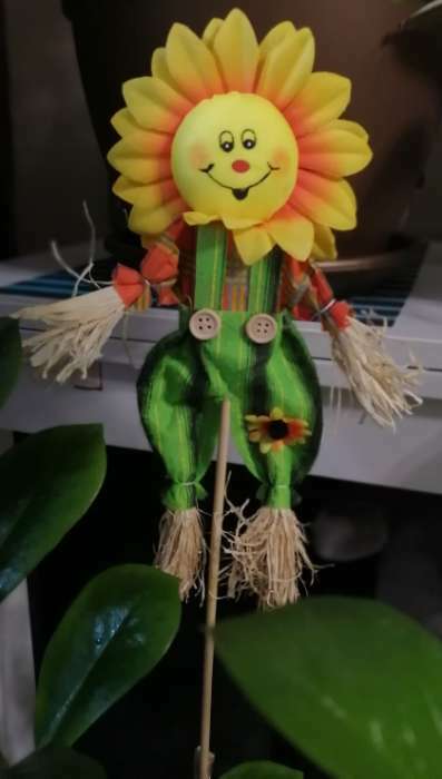 Фотография покупателя товара Огородное пугало «Солнце», h = 50 см, МИКС, Greengo - Фото 1