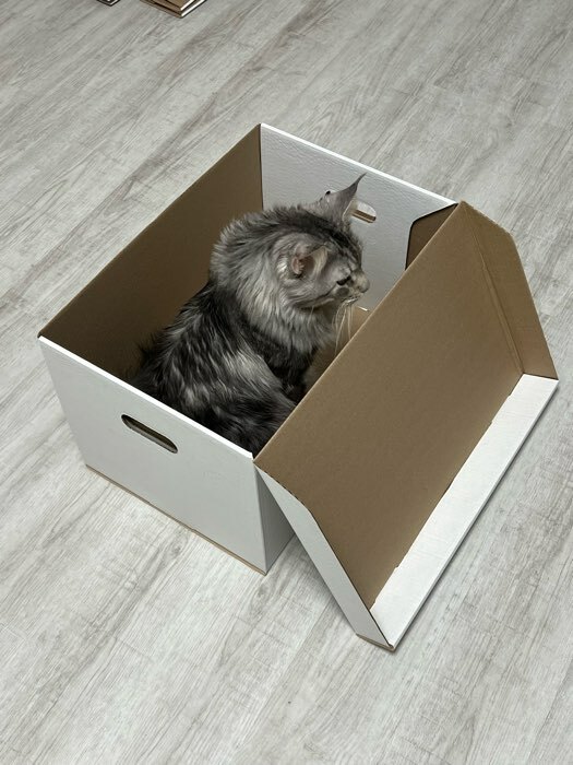 Фотография покупателя товара Коробка для хранения, белая, 48 х 32,5 х 29,5 см - Фото 2