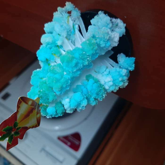 Фотография покупателя товара Набор для выращивания кристалла «Опыты. Ёлочка. Чудесные кристаллы», колокольчики - Фото 11