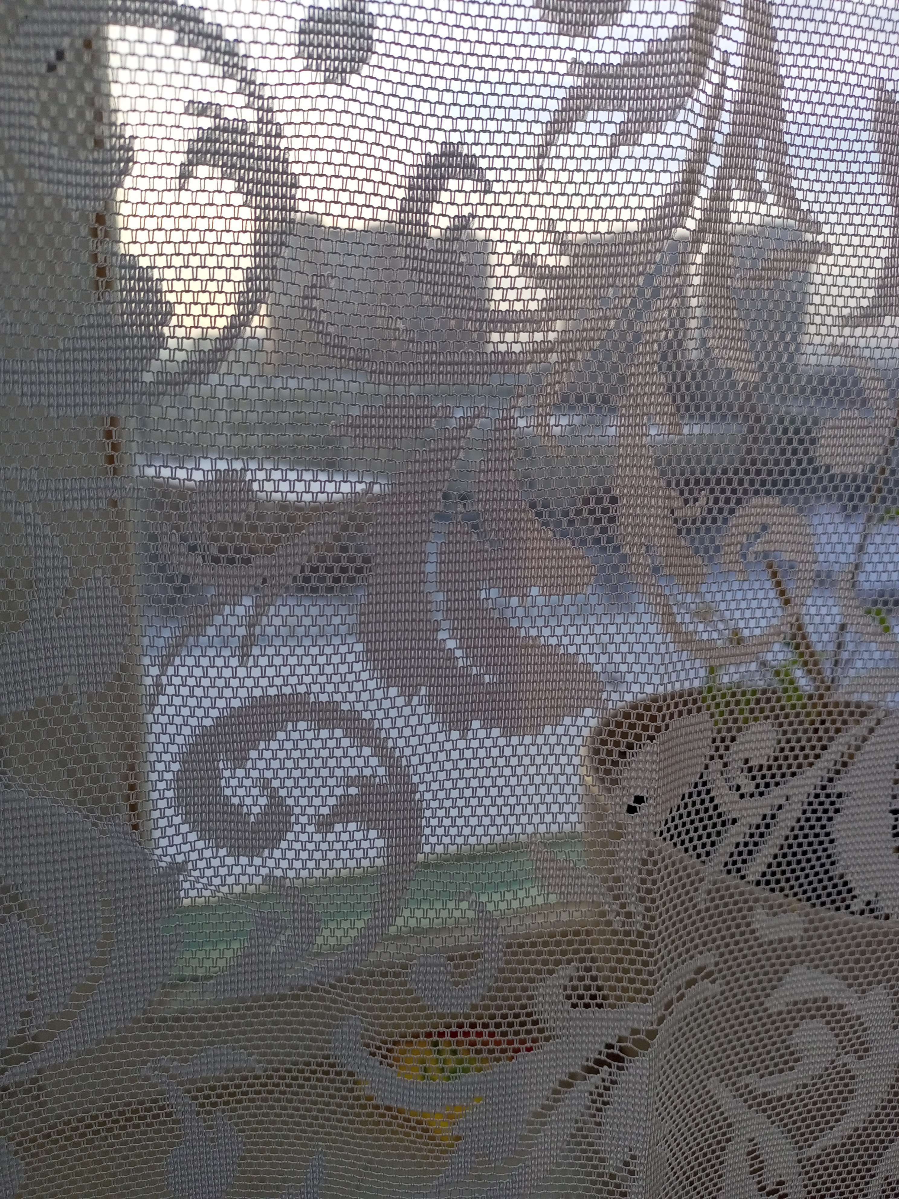 Фотография покупателя товара Тюль на кухню без шторной ленты 165х170 см, цвет белый, 100% полиэстер - Фото 8