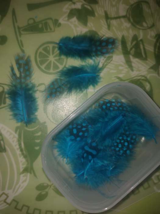Фотография покупателя товара Набор перьев для декора 10 шт., размер 1 шт: 5 × 2 см, цвет бирюзовый с чёрным