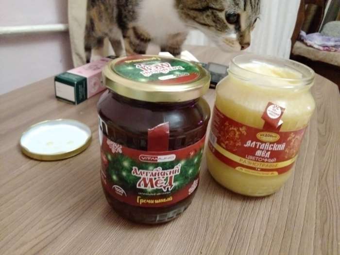 Фотография покупателя товара Новогодний мёд Алтайский Гречишный Vitamuno, ветка, 1000 г - Фото 1