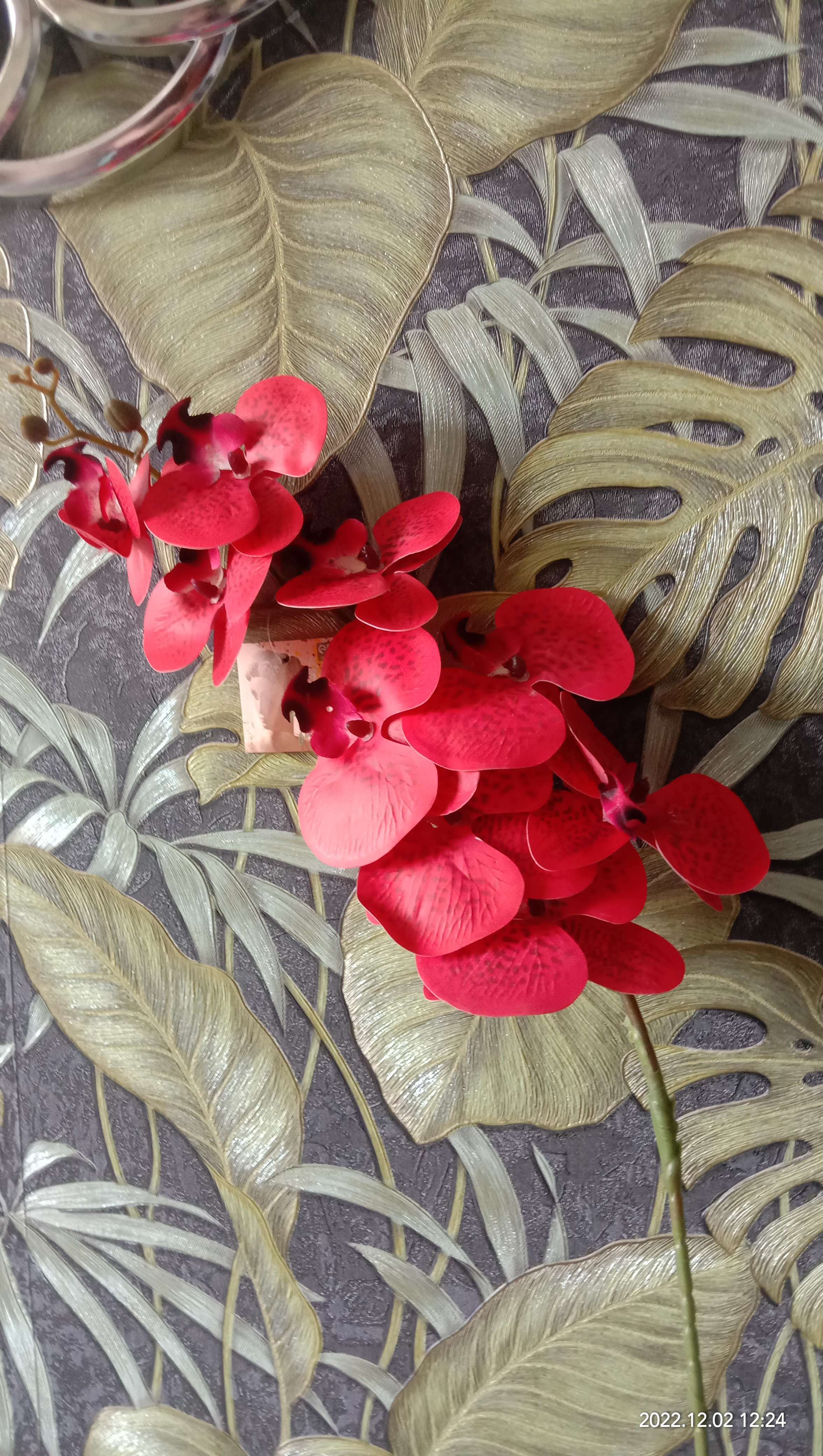 Фотография покупателя товара Цветы искусственные "Орхидея фаленопсис бархатистая" 10х90 см, белый - Фото 2