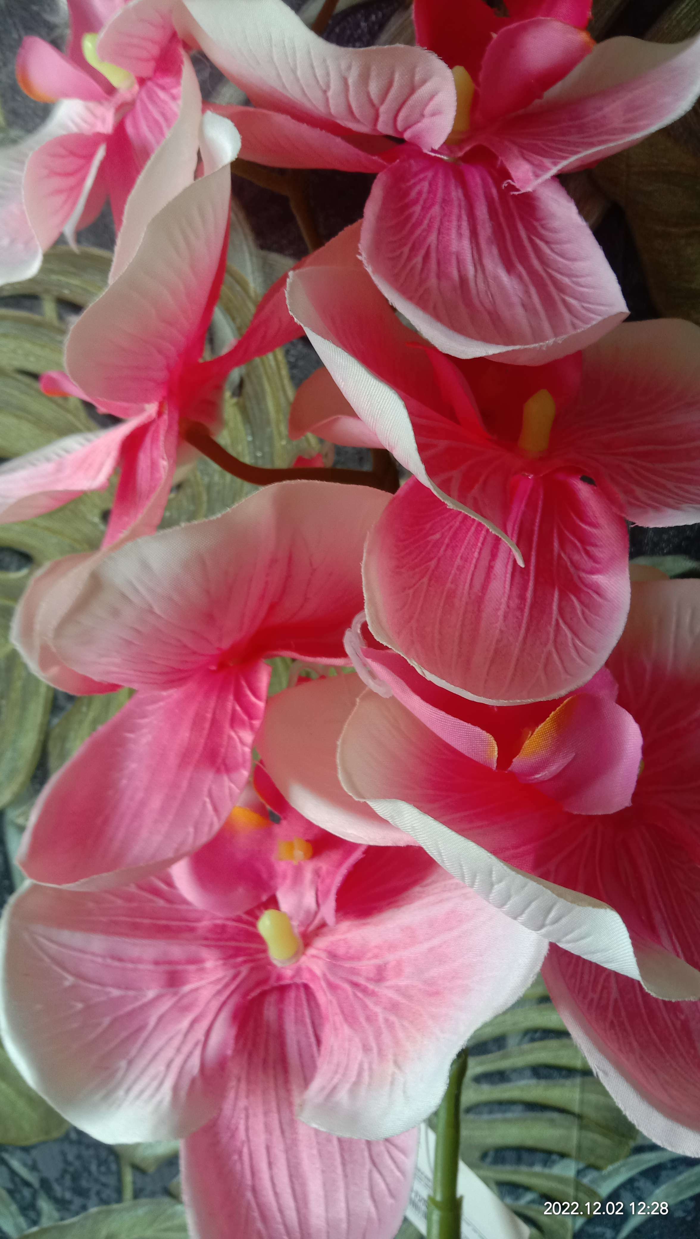 Фотография покупателя товара Цветы искусственные "Орхидея Изящная" 10х100 см, белый - Фото 2