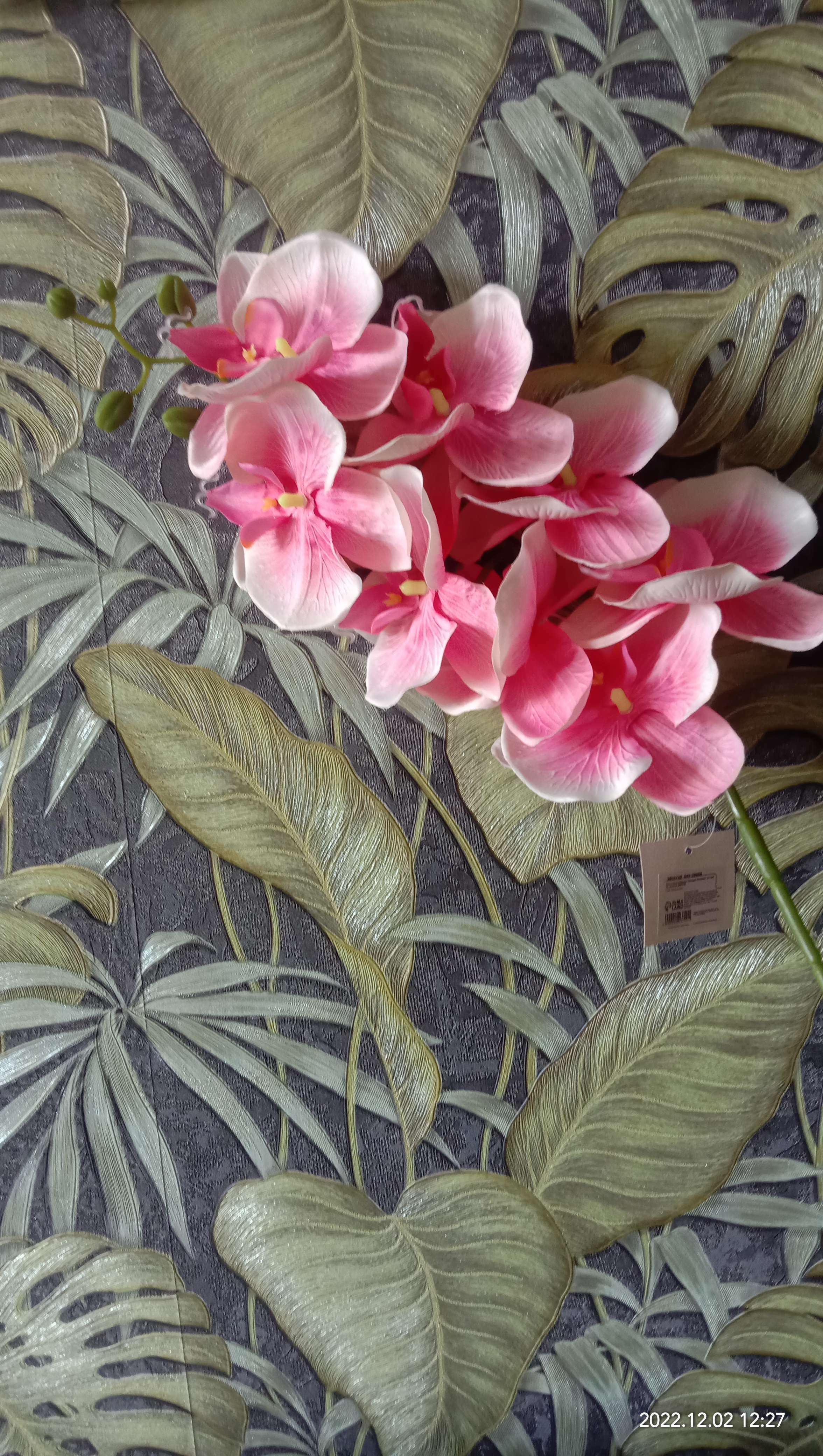 Фотография покупателя товара Цветы искусственные "Орхидея Изящная" 10*100 см, красная - Фото 1