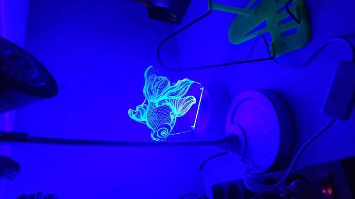 Фотография покупателя товара Светильник "Рыбка" LED RGB от сети 9,5х15х16,5 см RISALUX - Фото 1