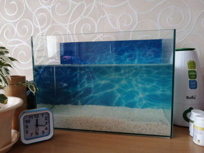 Фотография покупателя товара Фон для аквариума двухсторонний, 50 х 115 см
