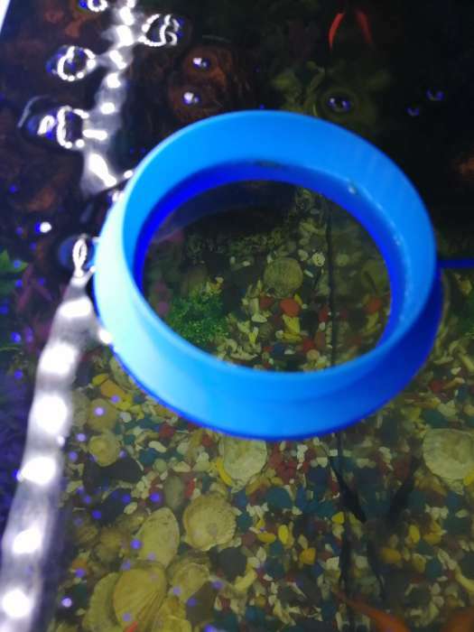 Фотография покупателя товара Кормушка для рыб плавающая, d=10 см, круглая, пластик - Фото 1