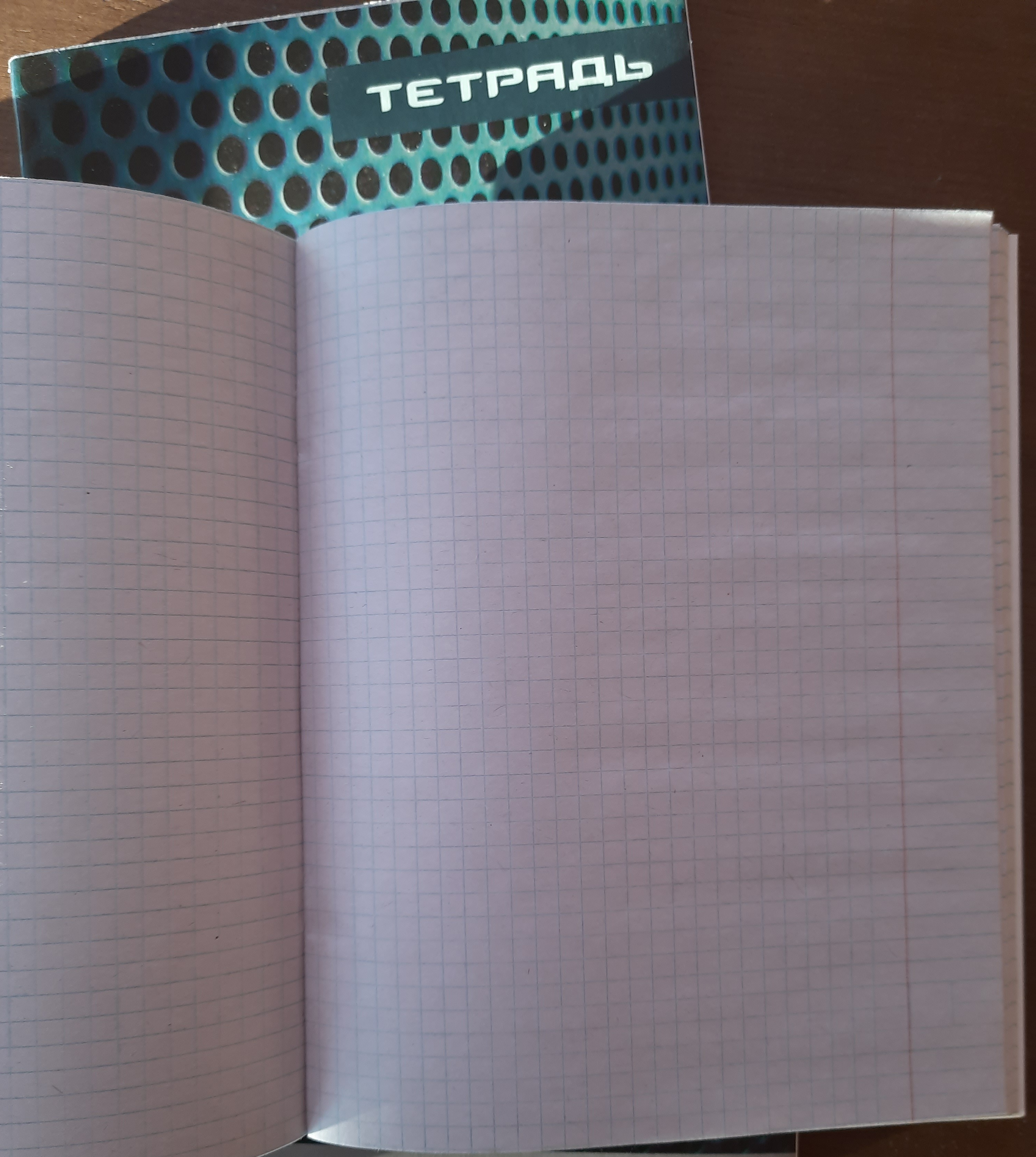 Фотография покупателя товара Тетрадь 48 листов в клетку Calligrata "Металл", обложка мелованный картон, блок №2, белизна 75% (серые листы), МИКС - Фото 4