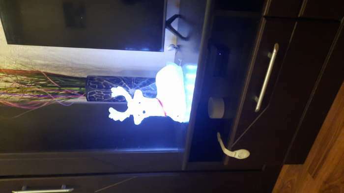 Фотография покупателя товара Светодиодная фигура «Оленёнок» 26 × 30 × 13 см, акрил, 30 LED, 220 В, свечение белое - Фото 4