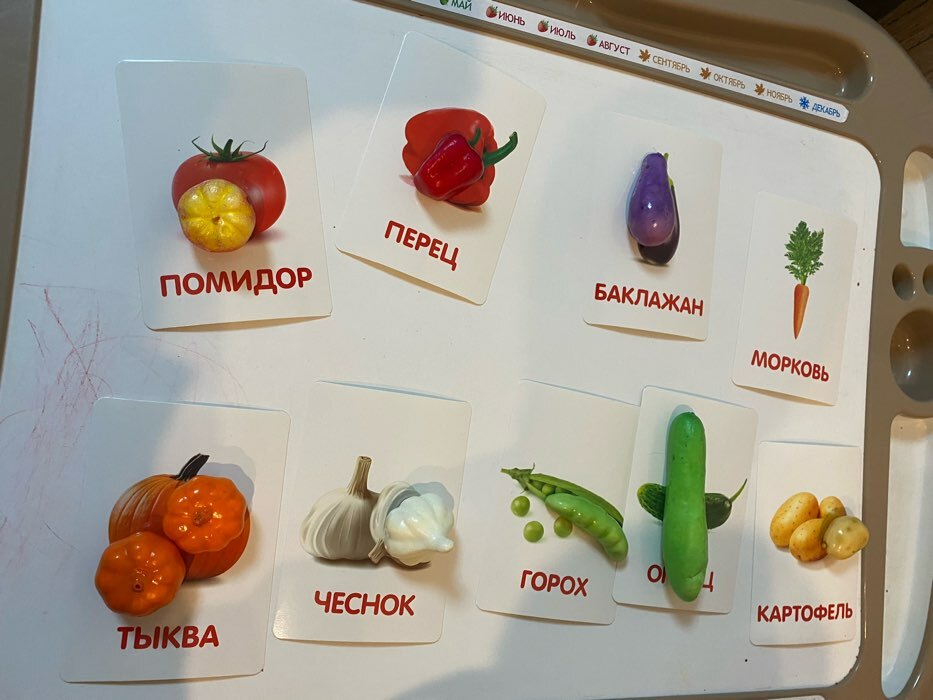 Фотография покупателя товара Обучающий набор по методике Г. Домана «Овощи»: 9 карточек + 9 овощей, счётный материал - Фото 14