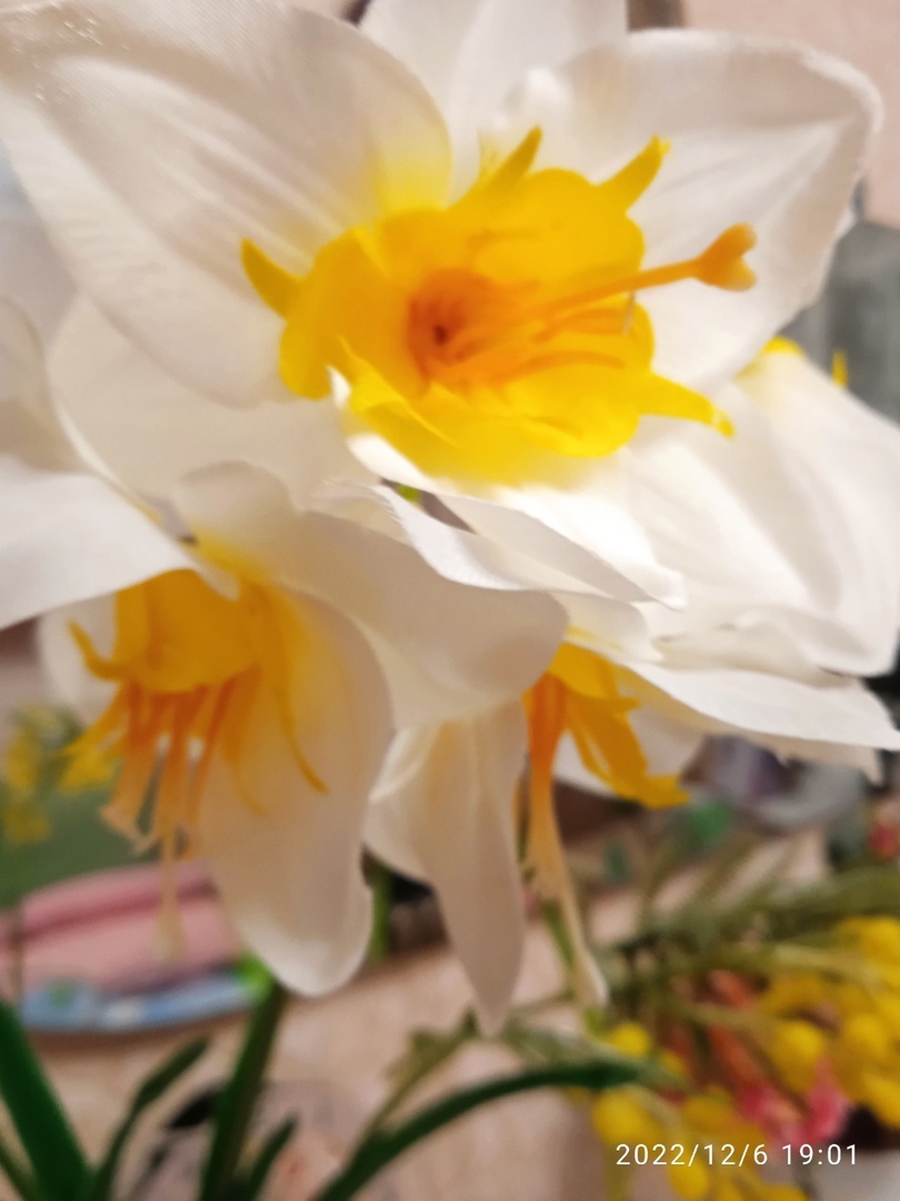Фотография покупателя товара Цветы искусственные "Мимоза" 40 см, жёлтый - Фото 6