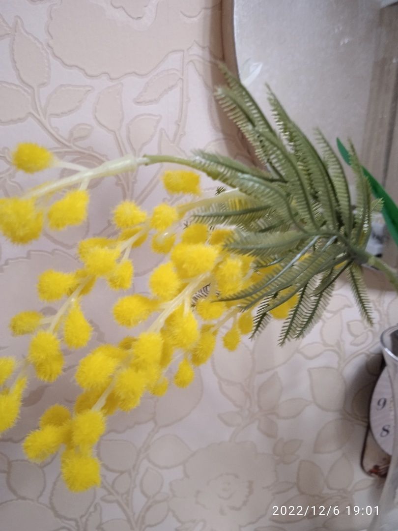 Фотография покупателя товара Цветы искусственные "Мимоза" 40 см, жёлтый