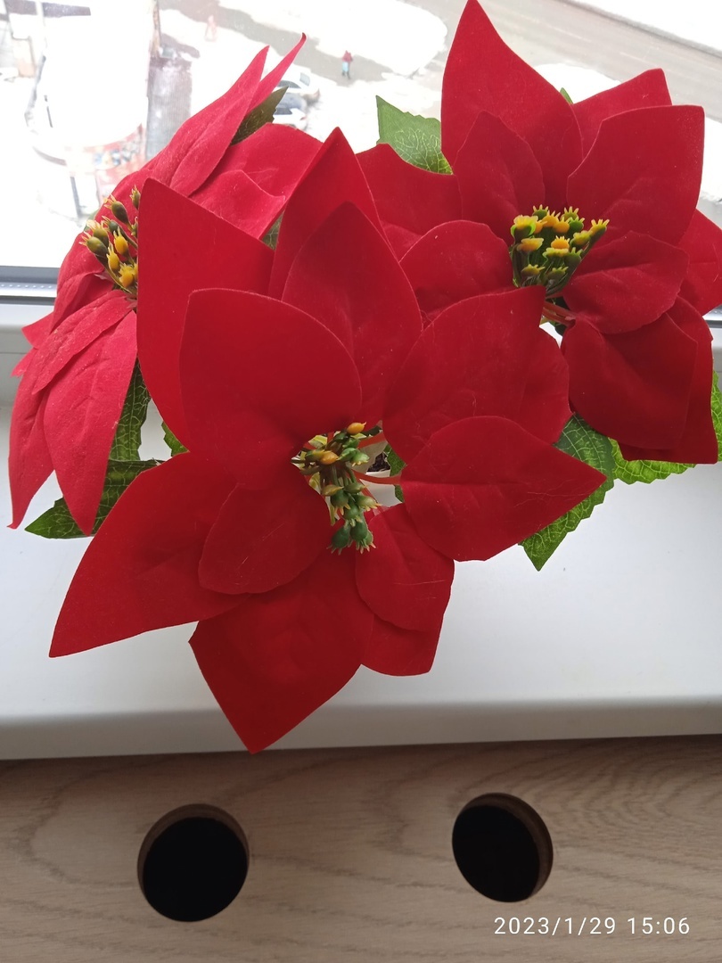 Фотография покупателя товара Новогодний декор «Пуансеттия», цвет красный - Фото 4