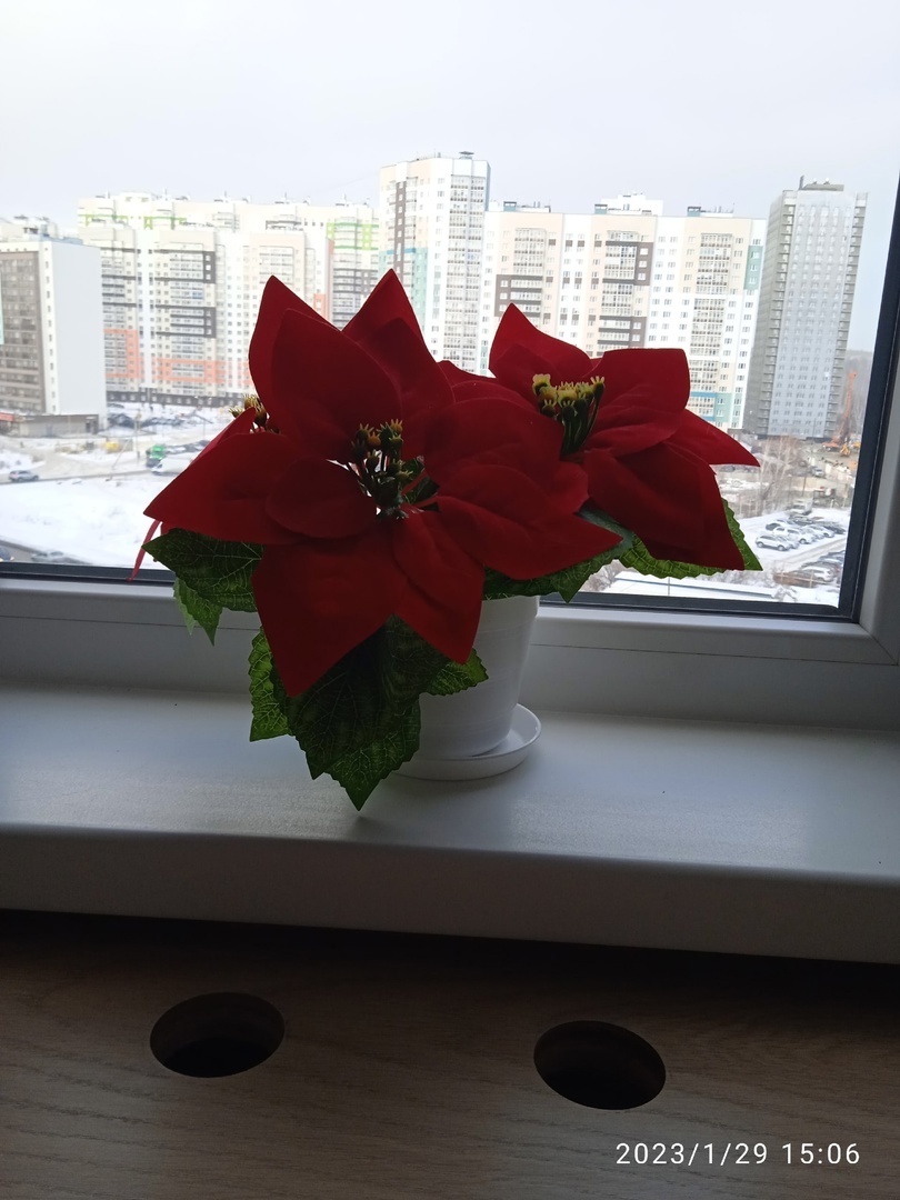 Фотография покупателя товара Новогодний декор «Пуансеттия», цвет красный - Фото 10