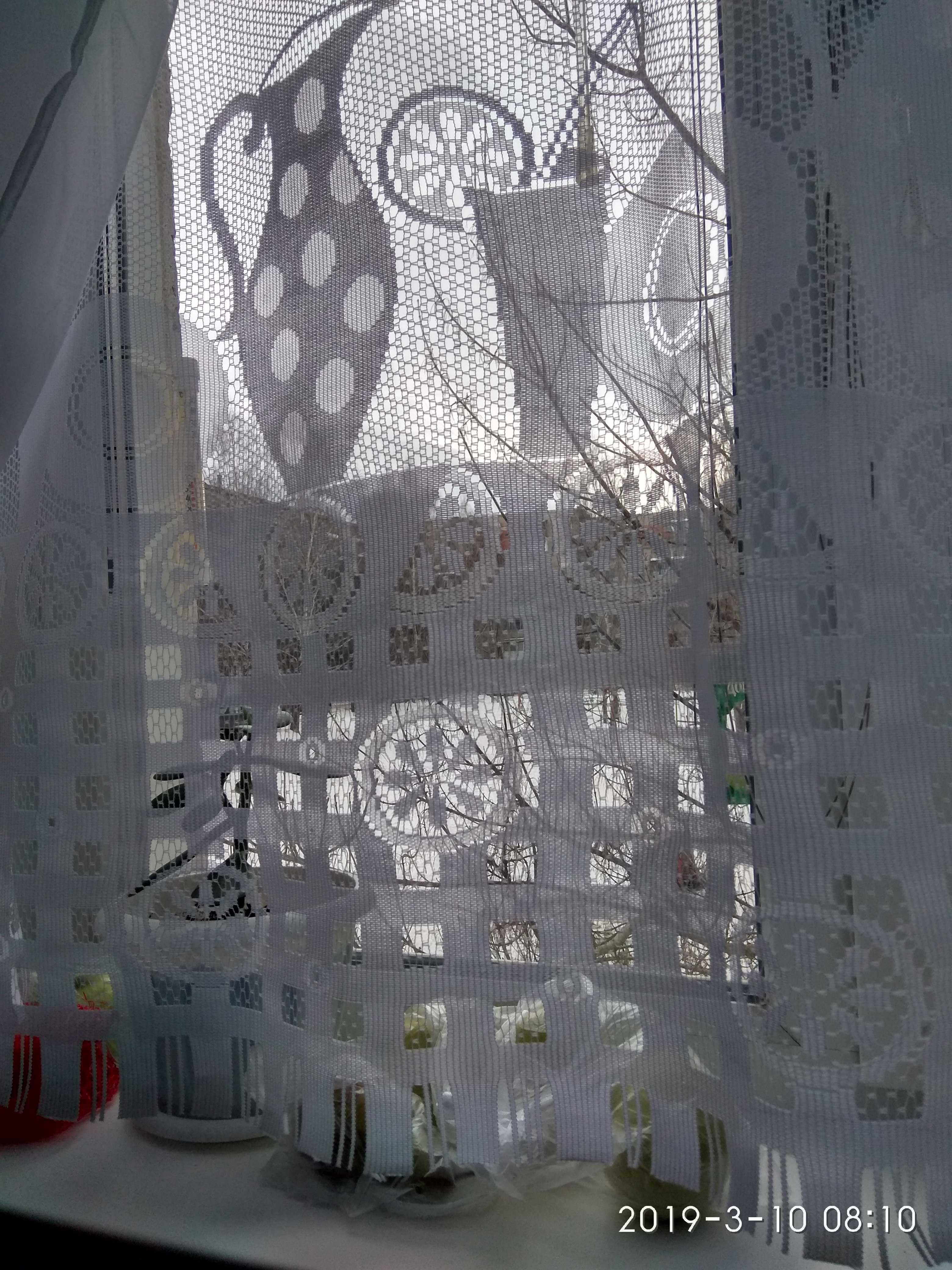 Фотография покупателя товара Тюль на кухню без шторной ленты, размер 170х170 см, цвет белый, 100% полиэстер - Фото 4