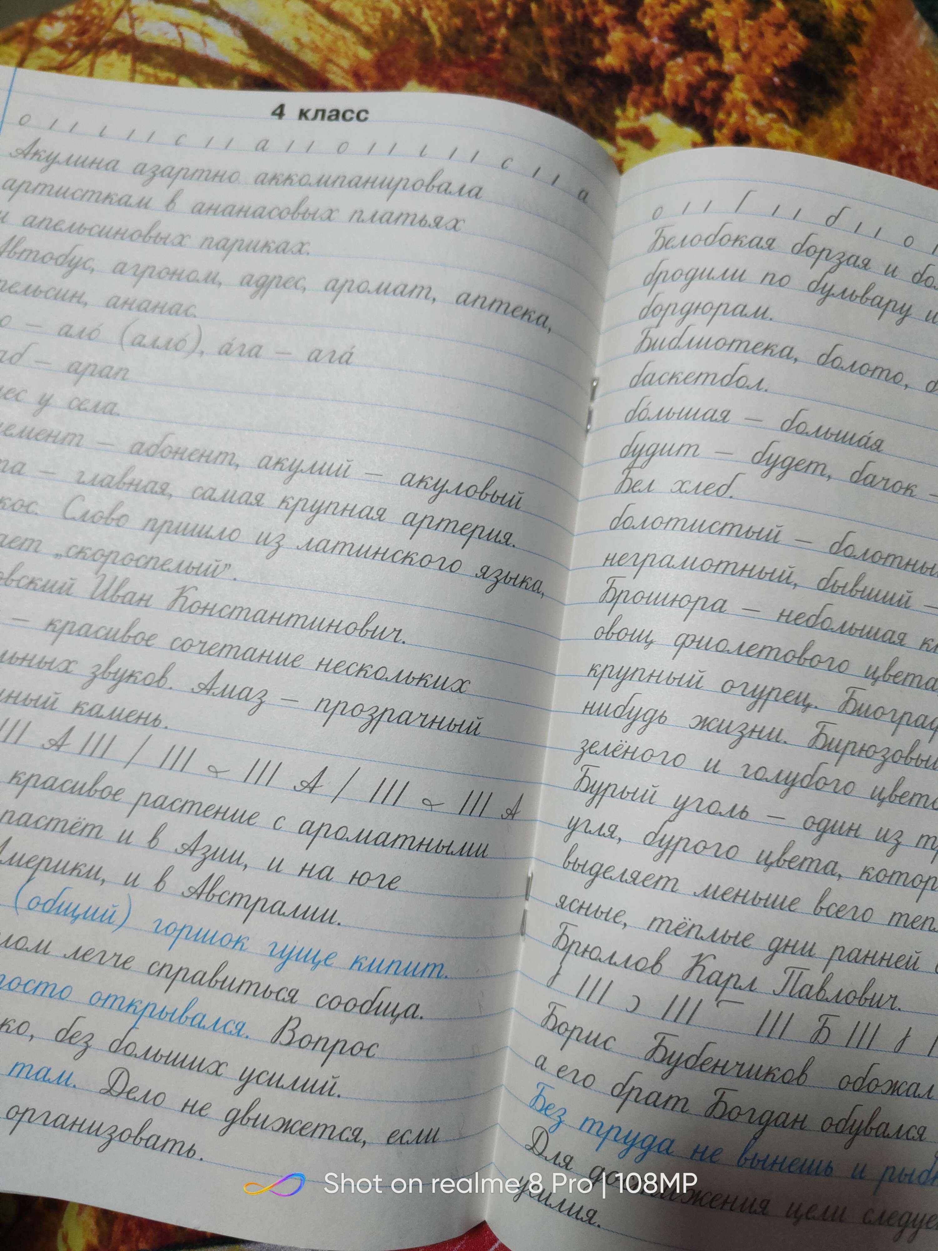 3-4 класс. Тренажер по чистописанию. Учимся работать с текстом. Узорова ...