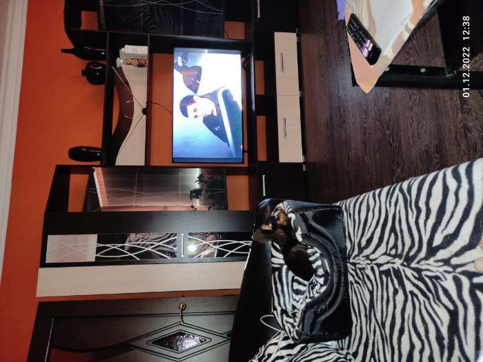 Фотография покупателя товара Дом-трансформер квадратный 43 х 43 х 34 см, расцветка зебра