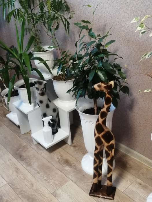 Фотография покупателя товара Сувенир дерево "Жираф" 80 см - Фото 1