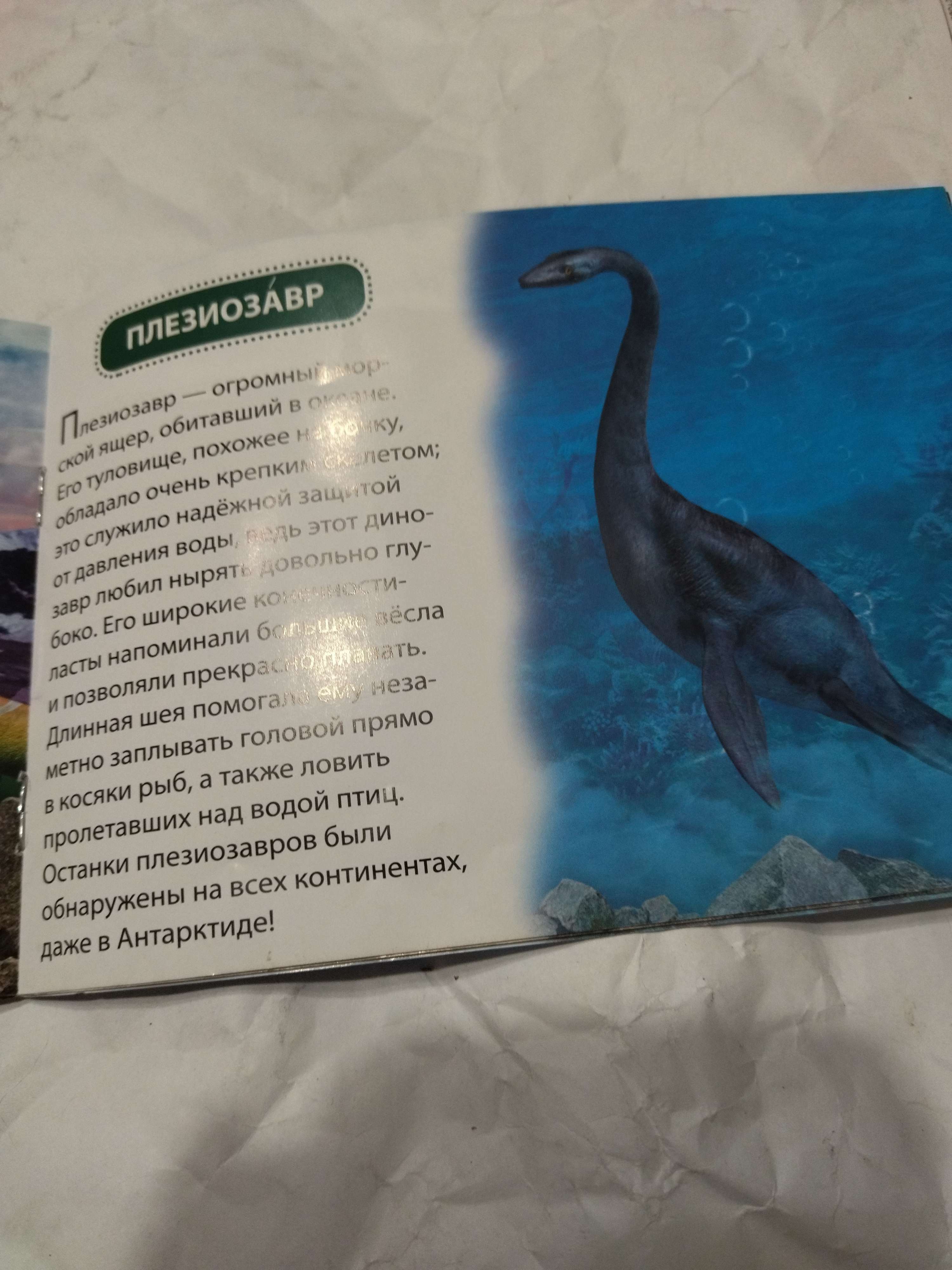 Фотография покупателя товара Обучающая книжка «Динозавры», 18 динозавров