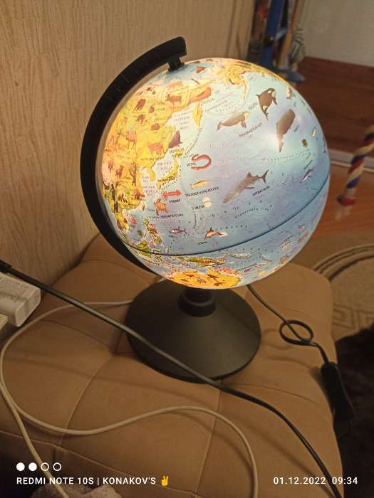 Фотография покупателя товара Глoбус зоогеографический (детский) "Классик", диаметр 210 мм, с подсветкой - Фото 1