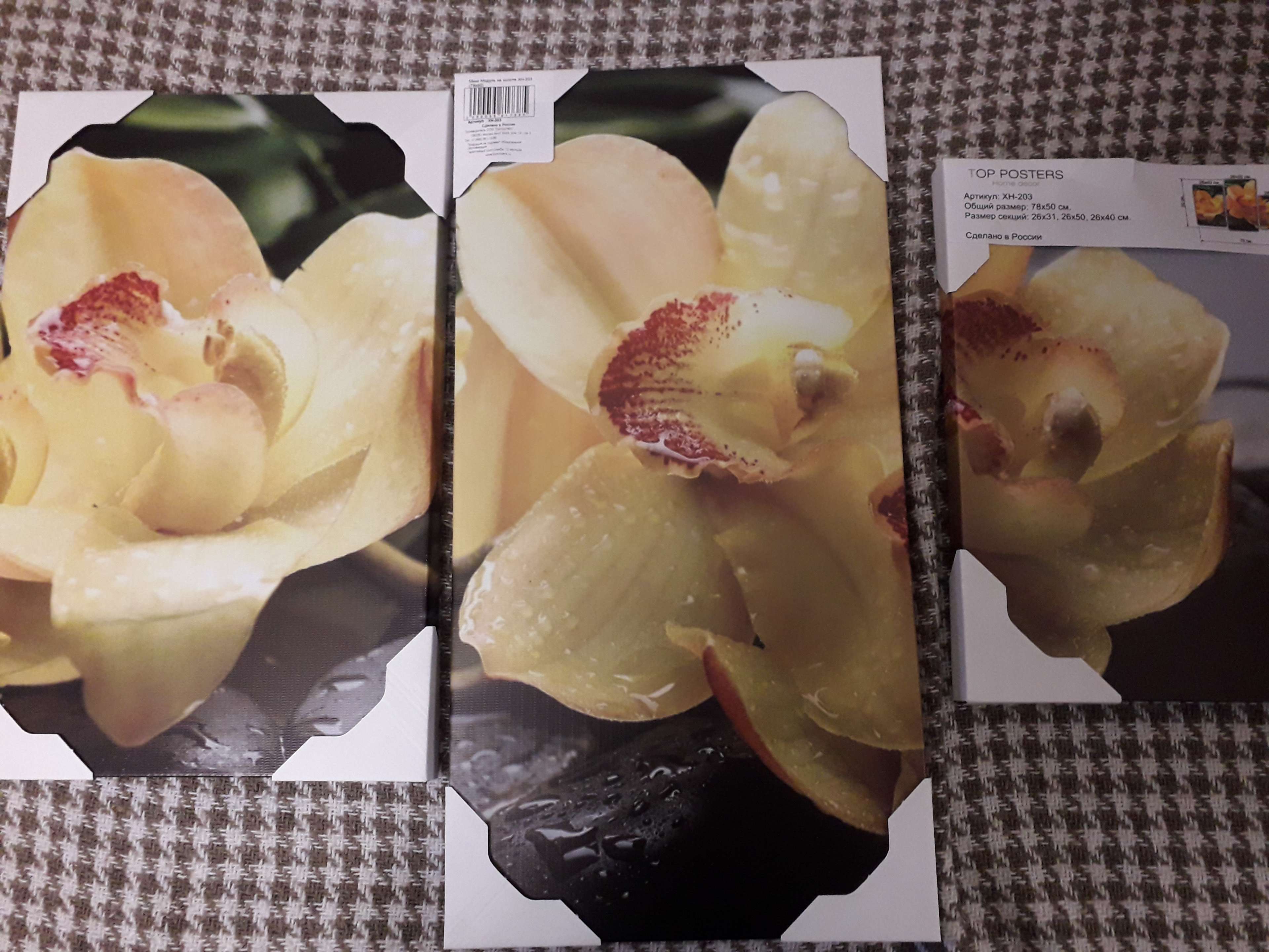 Фотография покупателя товара Картина модульная на подрамнике "Жёлтые Орхидеи на камнях" 26*40,26*50,26*31 80*50см