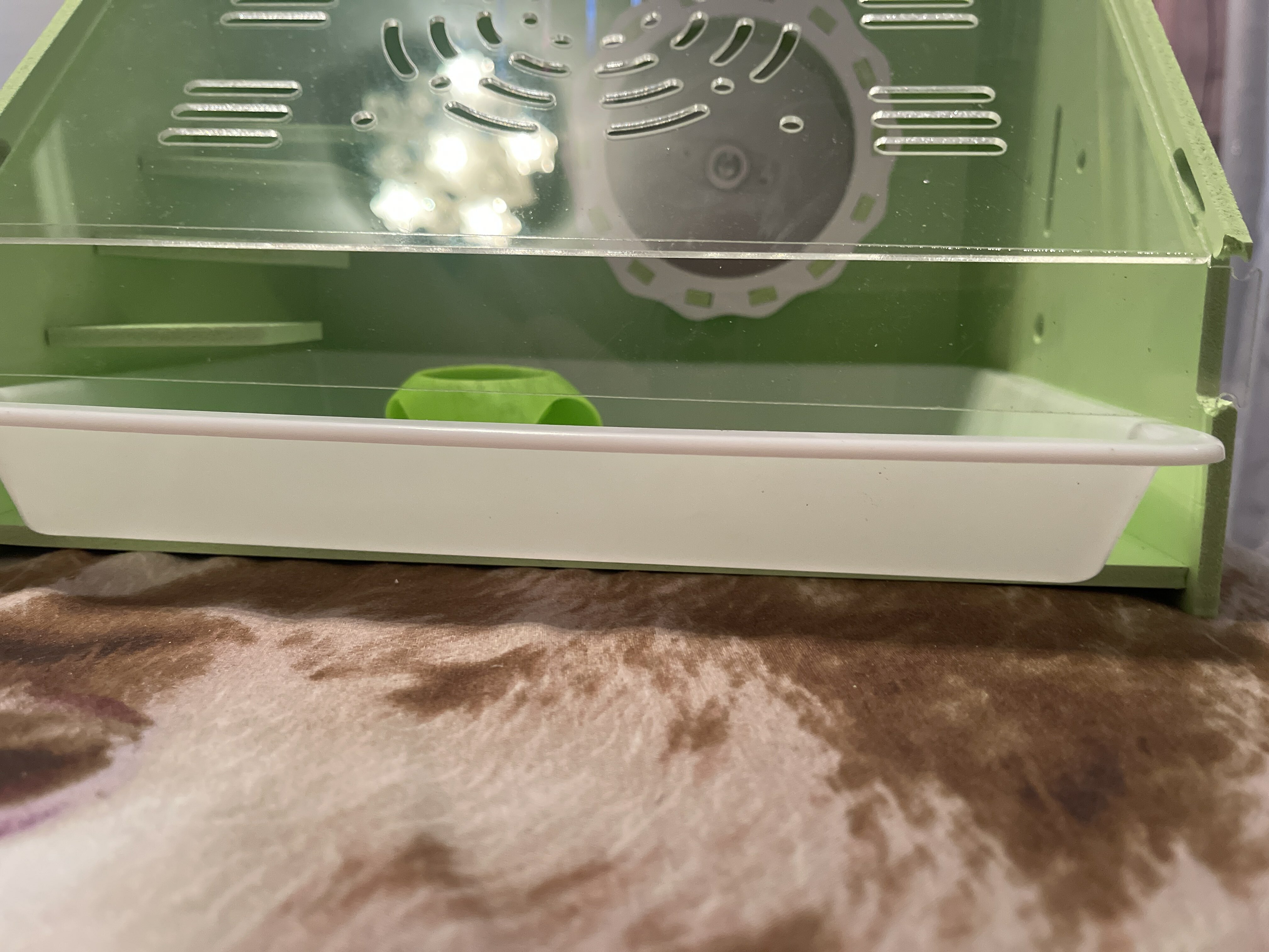Фотография покупателя товара Клетка-переноска для грызунов,акриловая, зелёная, 29 х 23,5 х 22 см - Фото 2