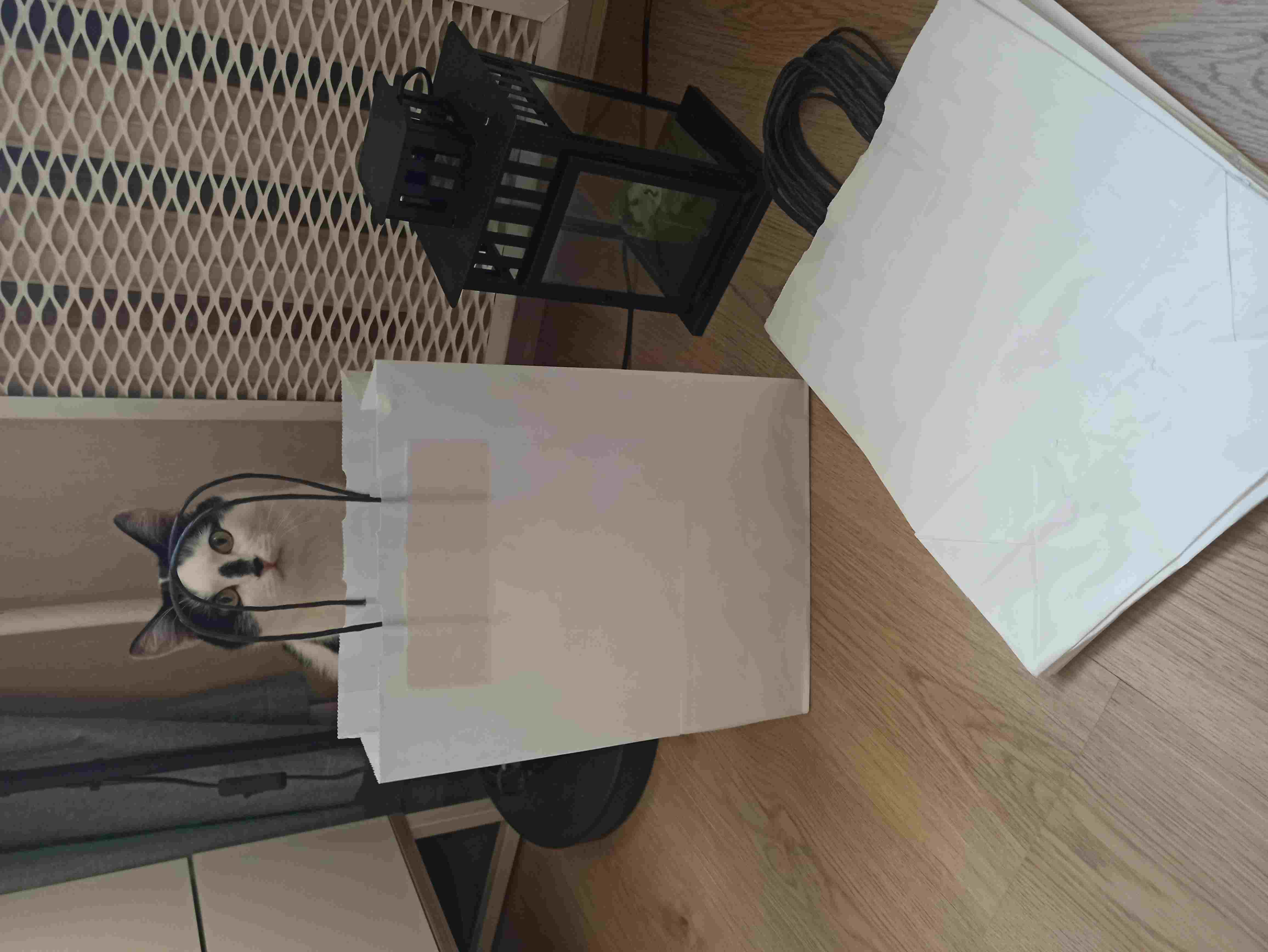 Фотография покупателя товара Пакет крафт, белый, 25 х 11 х 32 см, чёрная ручка - Фото 2