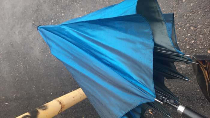 Фотография покупателя товара Зонт - трость полуавтоматический «Хамелеон», 8 спиц, R = 50 см, цвет МИКС - Фото 6