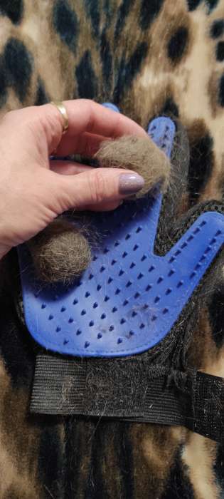 Фотография покупателя товара Перчатка - щетка для шерсти на правую руку с удлиненными зубчиками, синяя - Фото 13