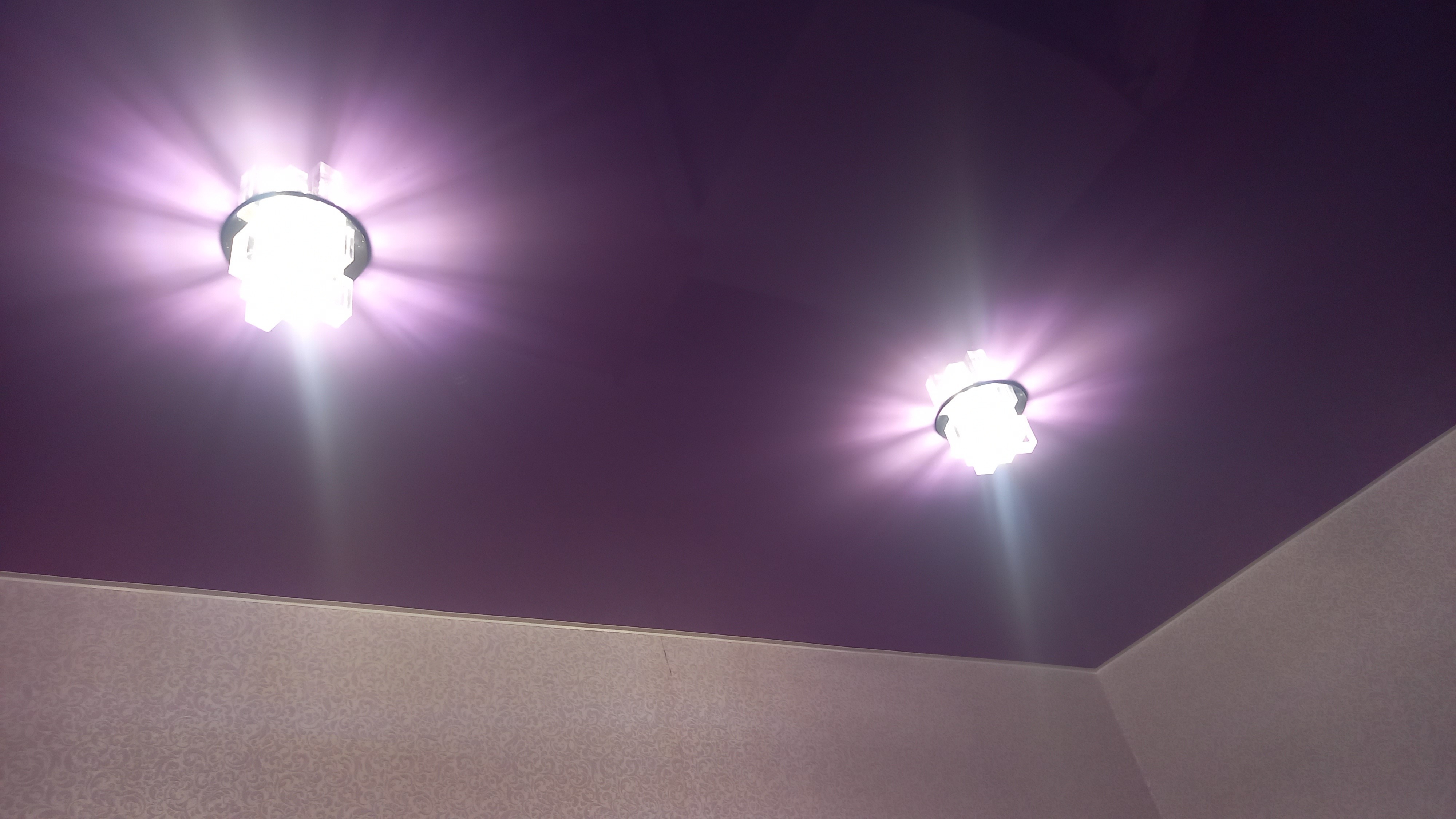 Фотография покупателя товара Лампа светодиодная Ecola LED Premium, G9, 8 Вт, 4200 K, 360°, 65x19 мм - Фото 1