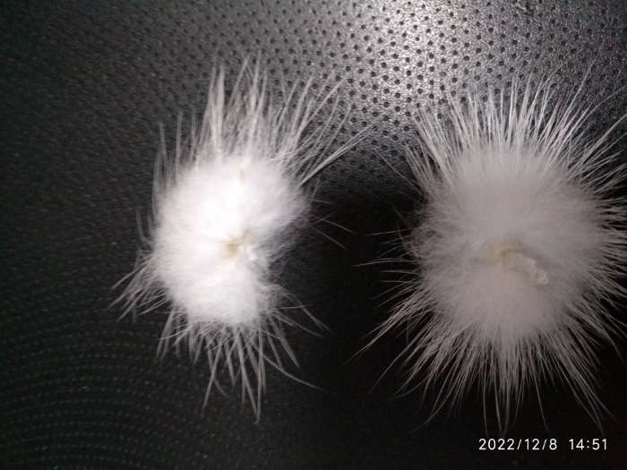 Фотография покупателя товара Помпон из натурального меха норки, размер 1 шт: 2,5 см, цвет белый - Фото 6