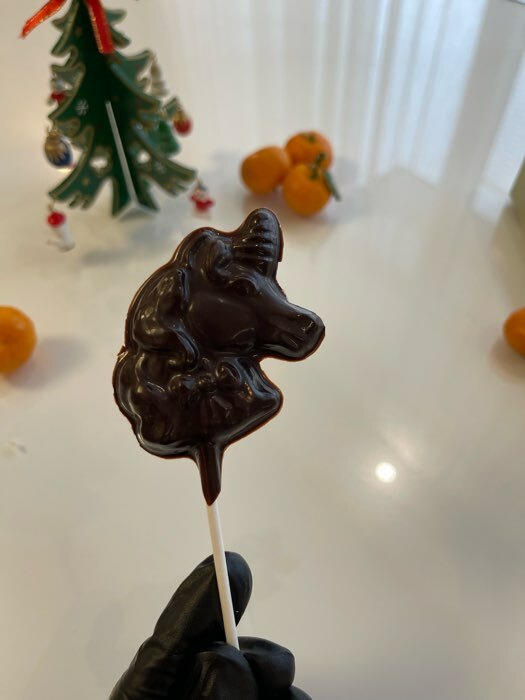 Фотография покупателя товара Форма для шоколада и конфет «Пони», 5 ячеек, 24×18.5×1 см, прозрачная - Фото 3