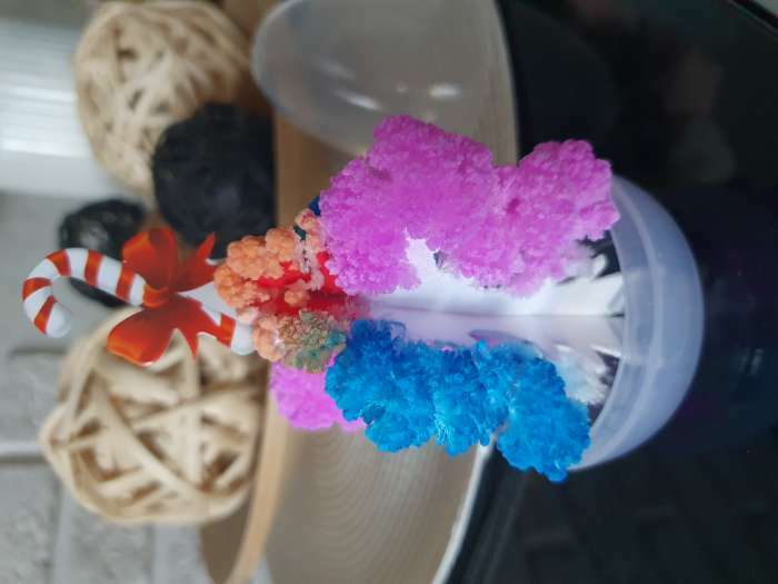 Фотография покупателя товара Набор для опытов «Новогодние кристаллы», цвета МИКС - Фото 4